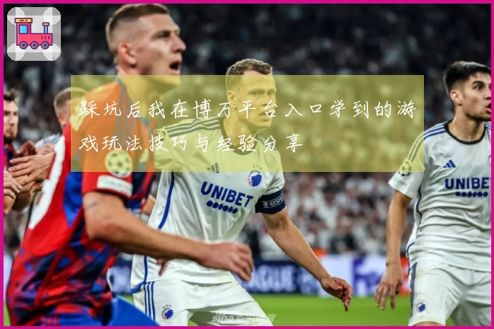 踩坑后我在博万平台入口学到的游戏玩法技巧与经验分享