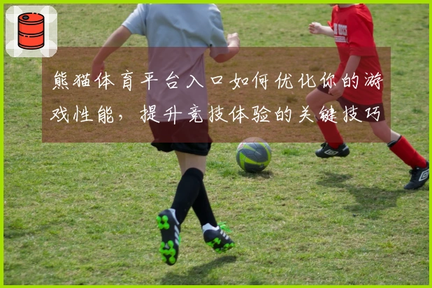 熊猫体育平台入口如何优化你的游戏性能，提升竞技体验的关键技巧